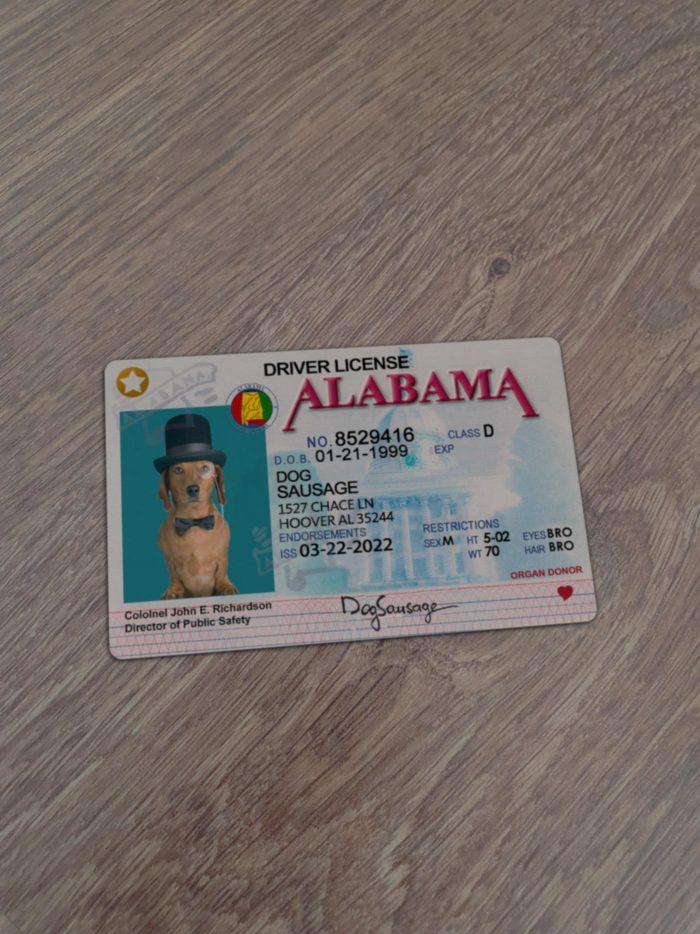 Alabama Driver License Template
