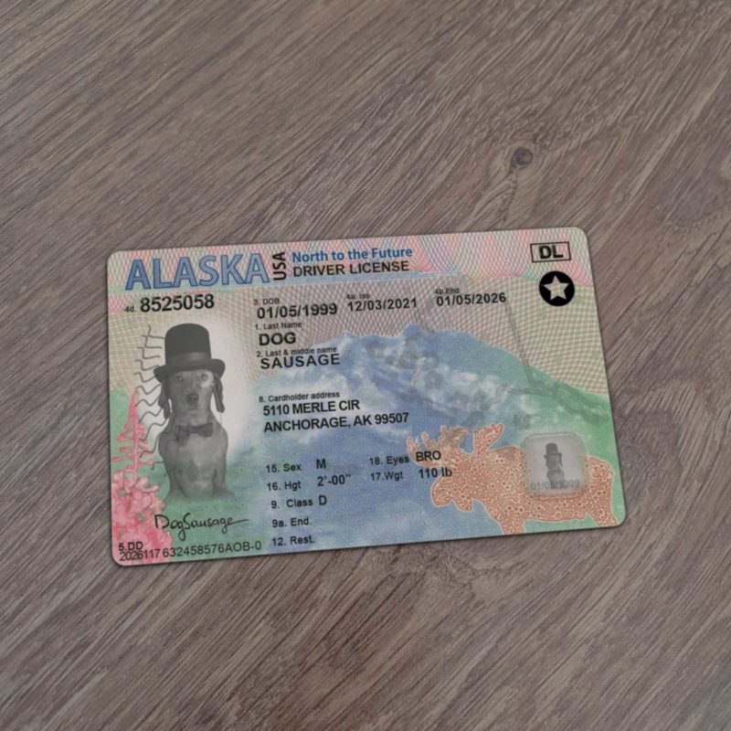 Alaska Driver License template