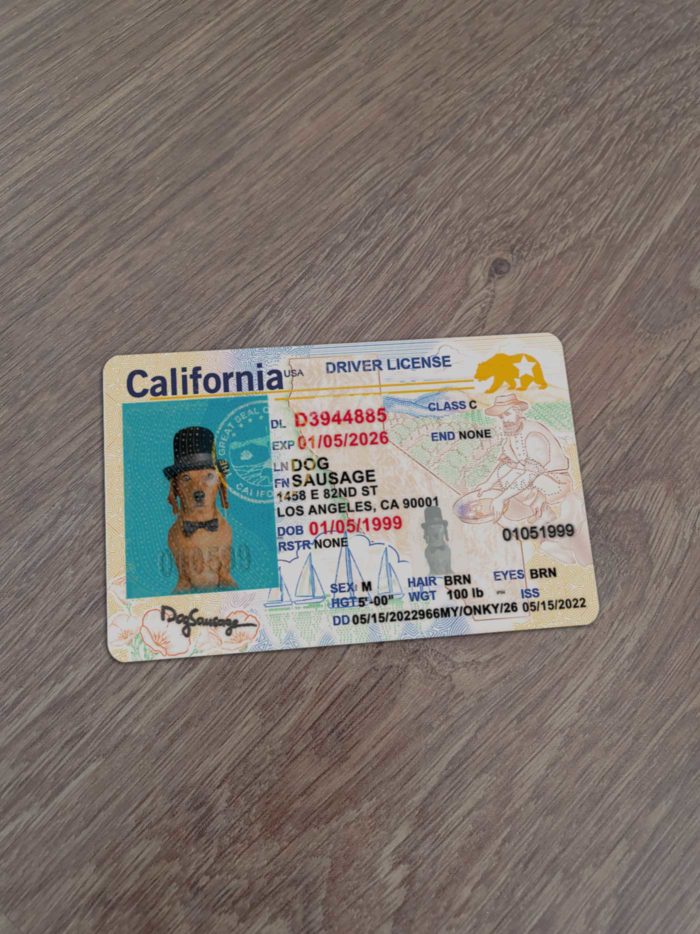 California Driver License 2