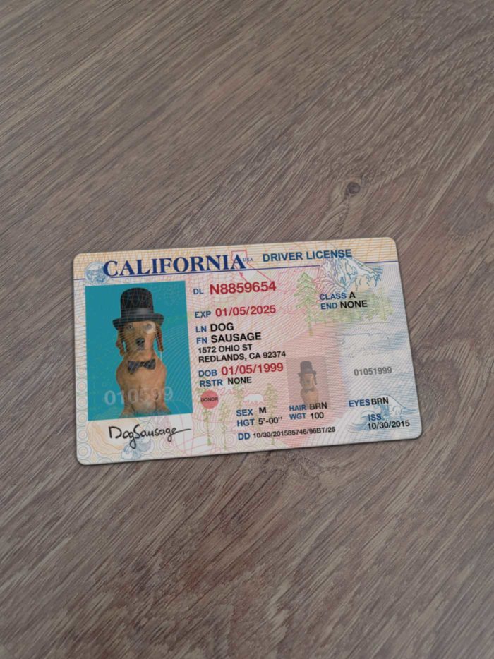 California Driver License template