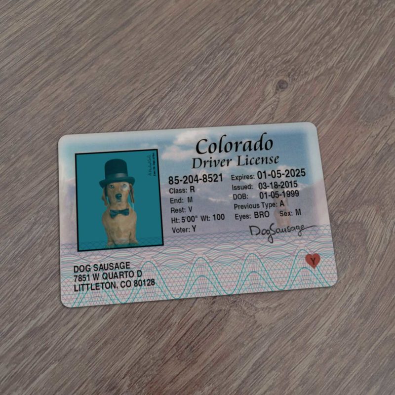 Colorado Driver License template