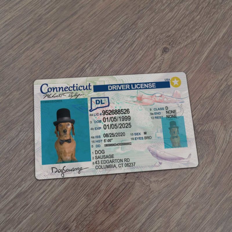 Connecticut Driver License template