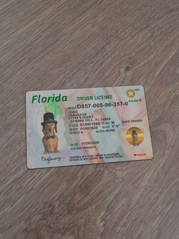 Florida Driver License template