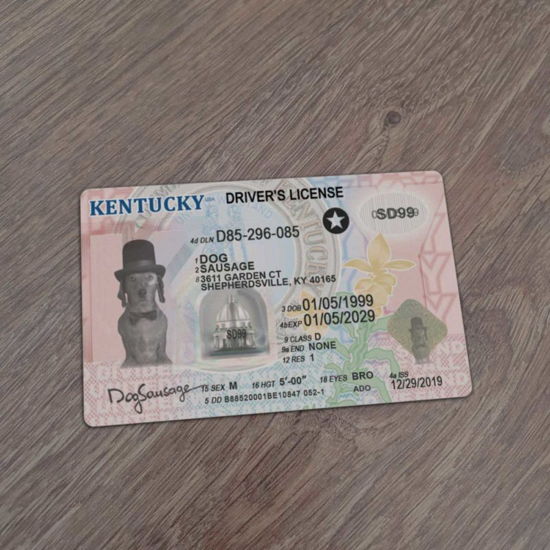 Kentucky Driver License template