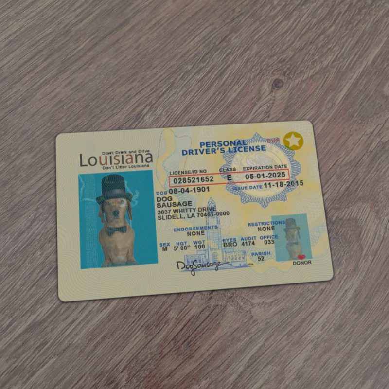 Louisiana Driver License template