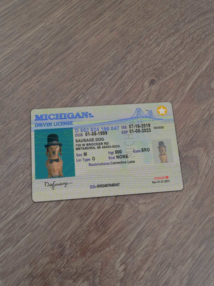 Michigan Driver License template