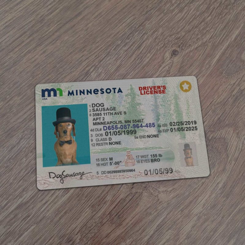 Minnesota Driver License template