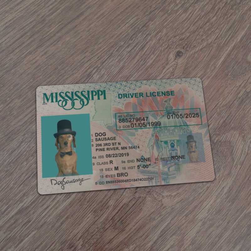 Mississippi Driver License template