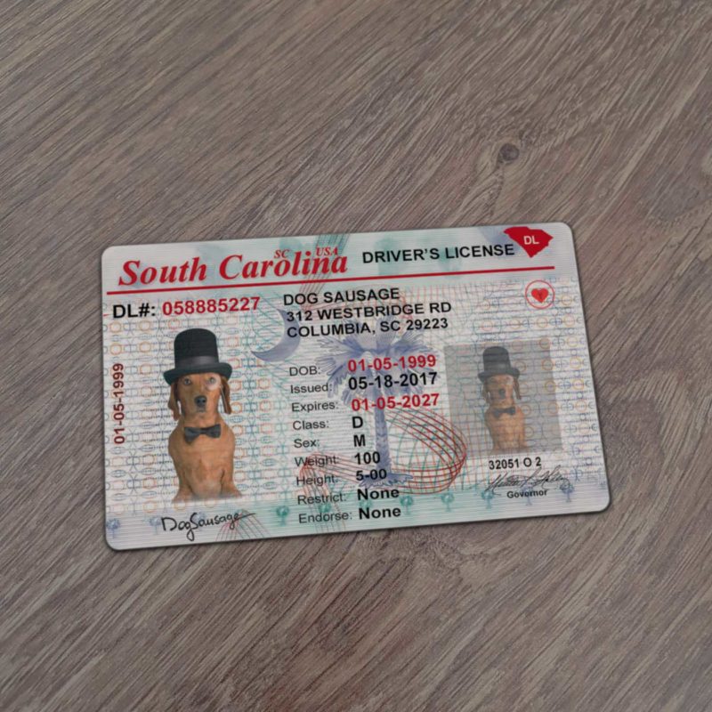 South Carolina Driver License template