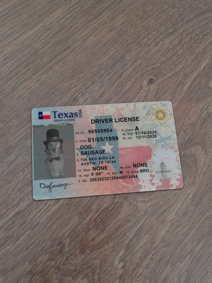 Texas Driver License template new