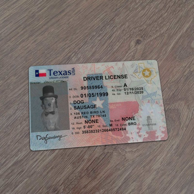 Texas Driver License template new
