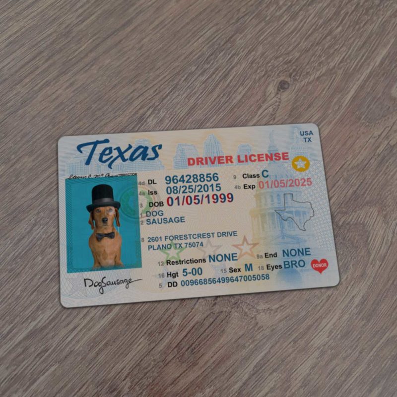 Texas Driver License template