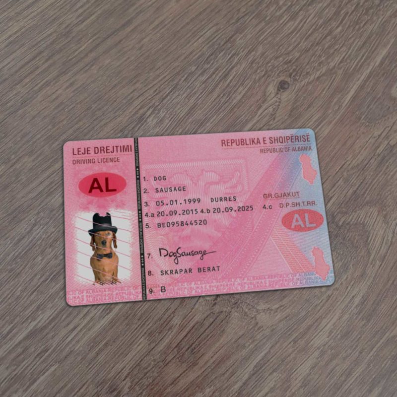 Albania Driver Licence Template