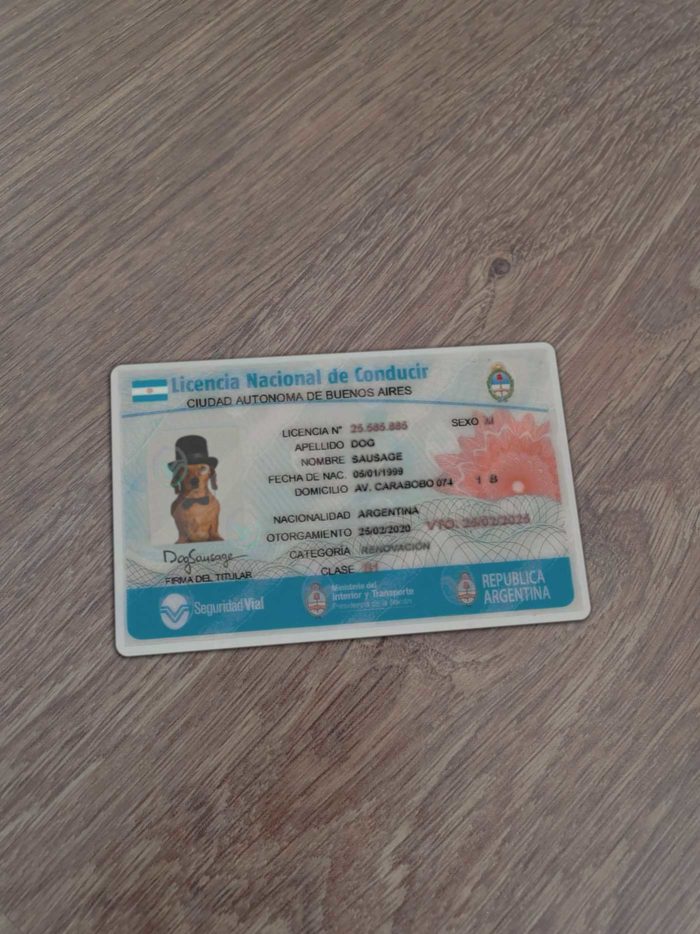 Argentina Driver License Template