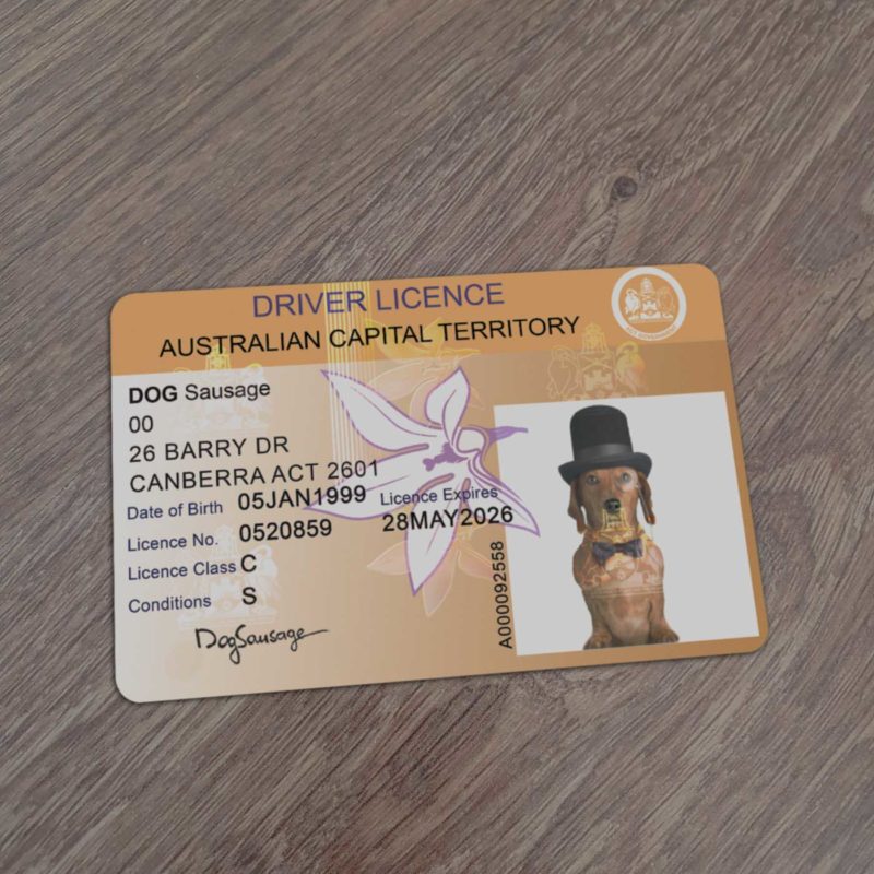 Australia Capitol Territory Driver License Template