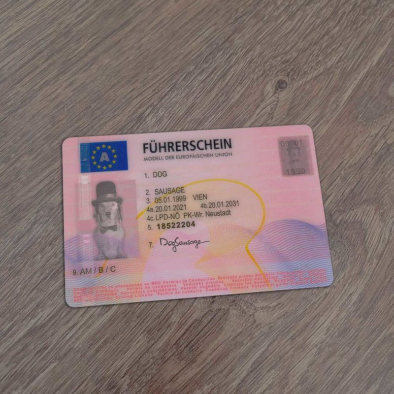 Austria Driver Licence Template