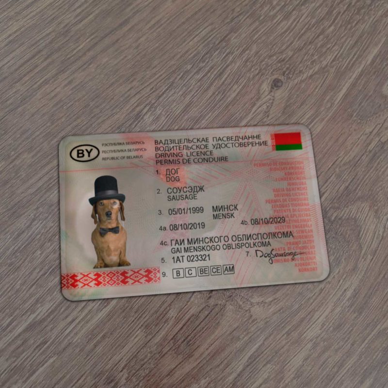 Belarus Driver License Template