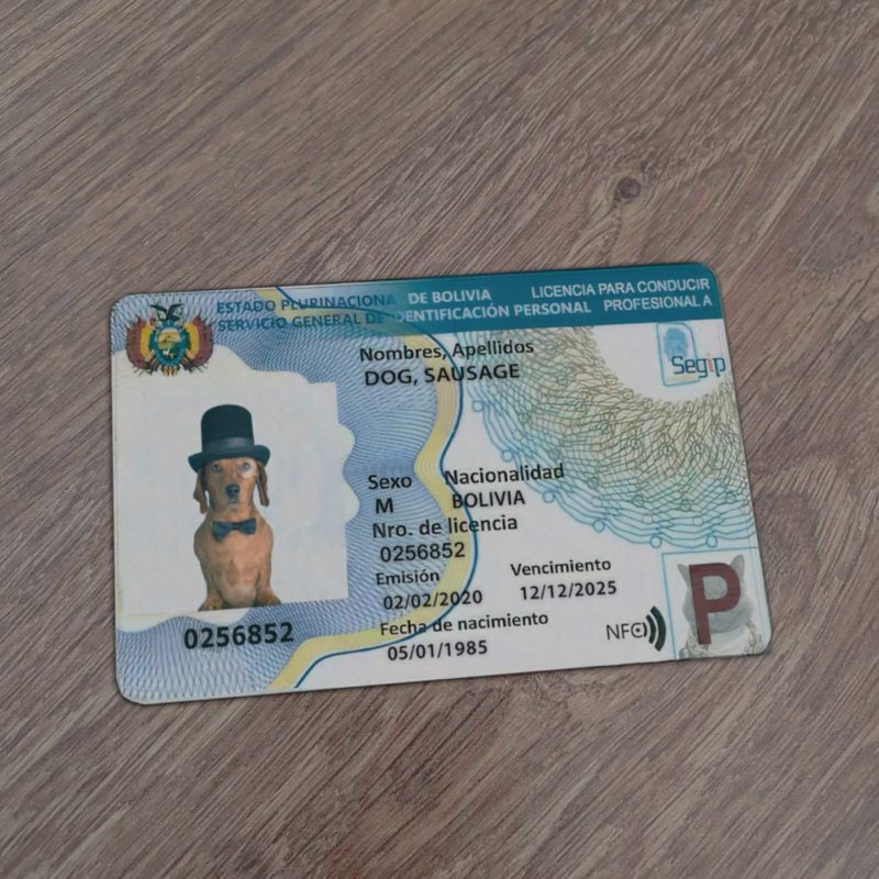 Bolivia Driver License Template