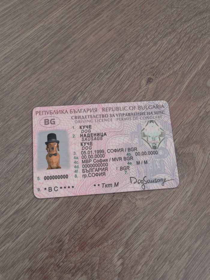 Bulgaria Driver License Template