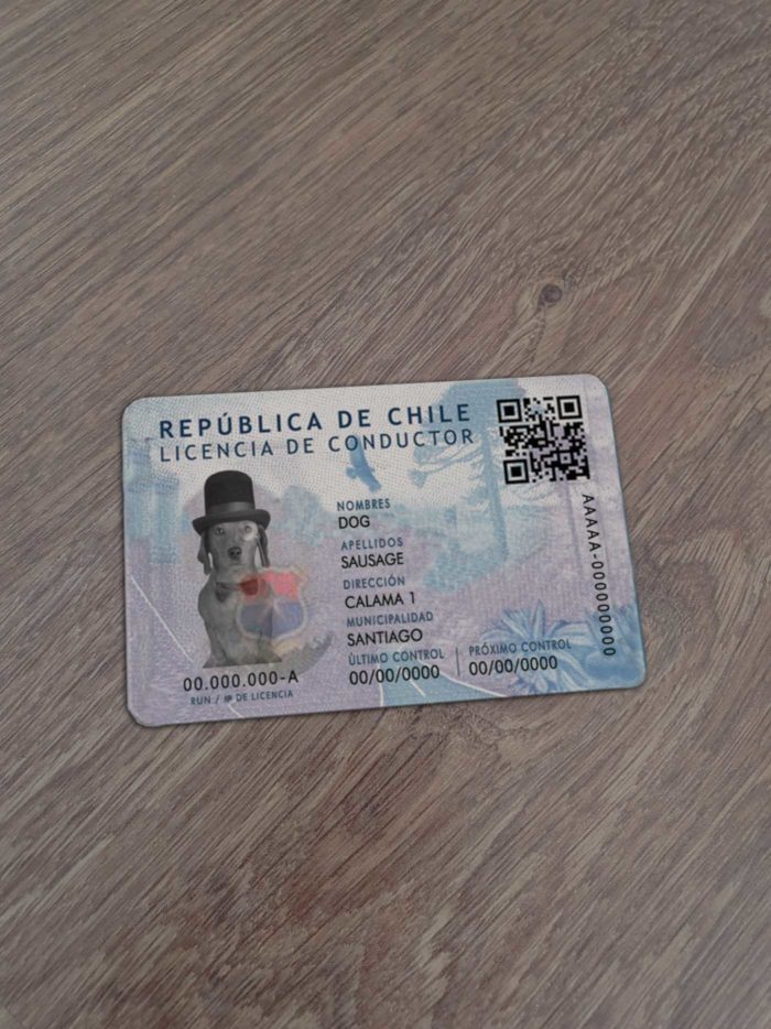 Chile Driver License Template - Driver license template