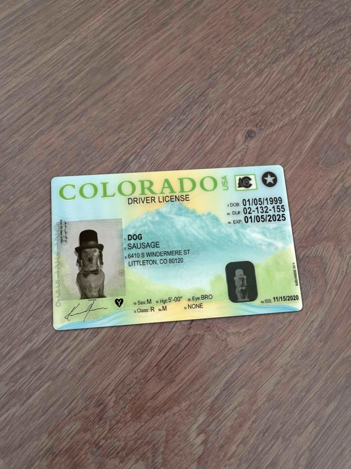 Colorado Driver License Template New