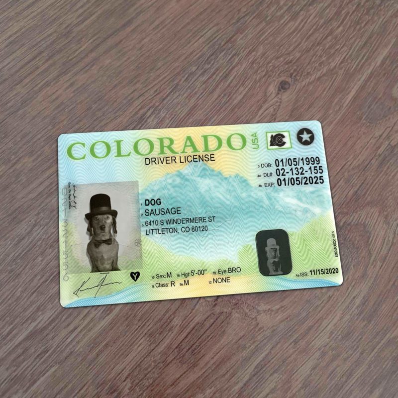 Colorado Driver License Template New