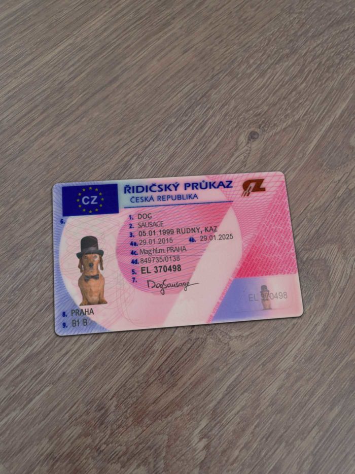 Czech Driver License Template