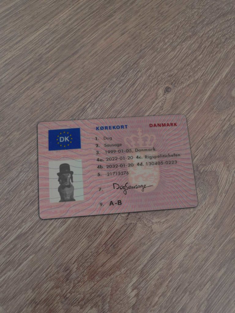 Denmark Driving License 1