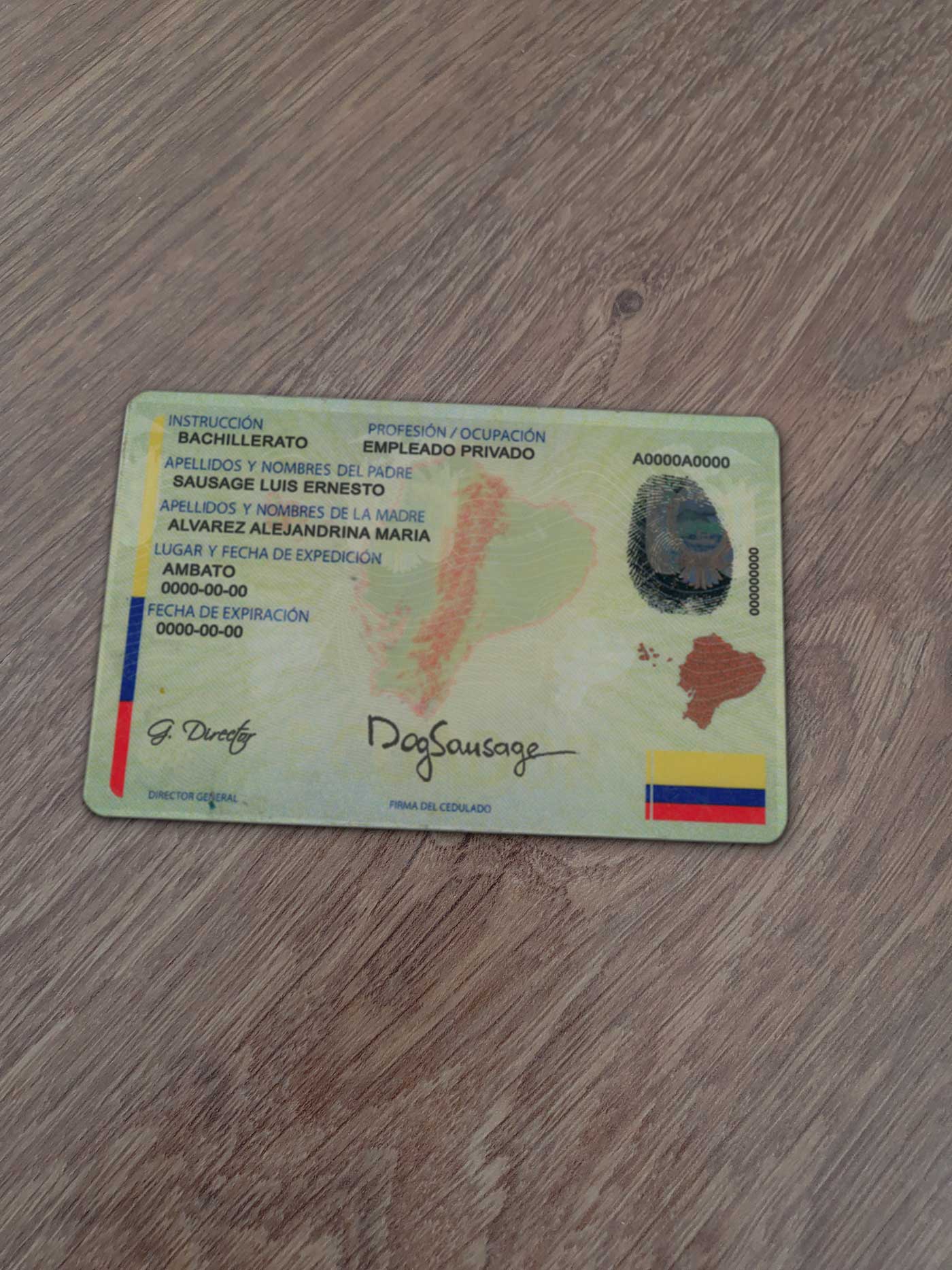 Ecuador Identity Card Template - Driver license template