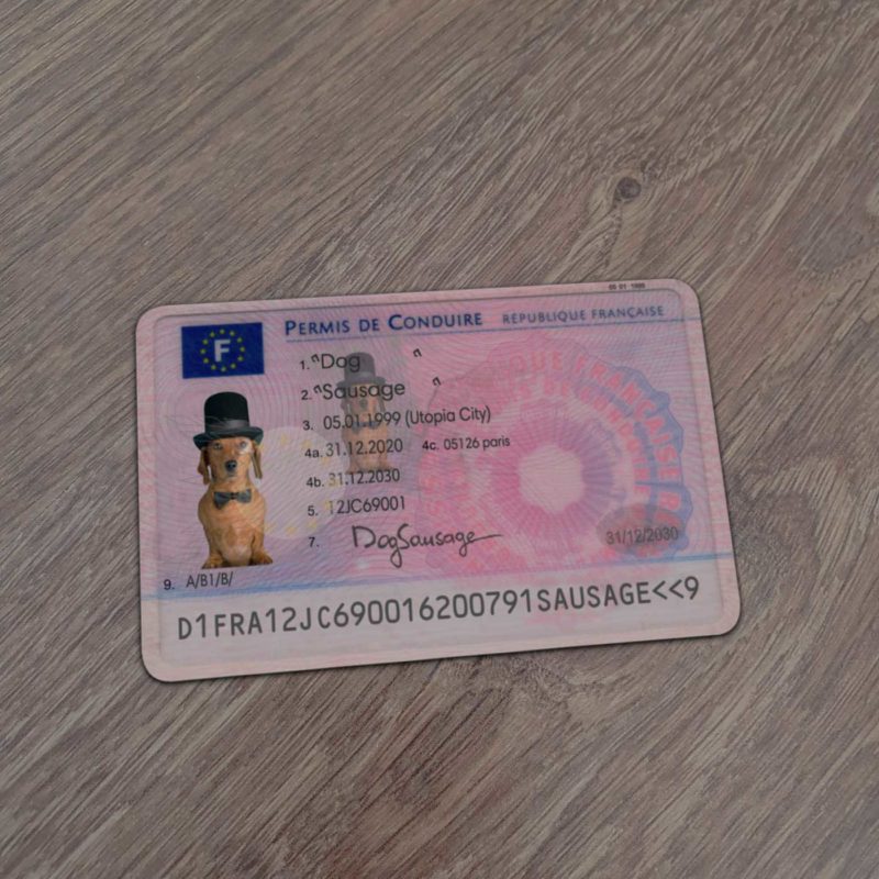 French Driver License Template