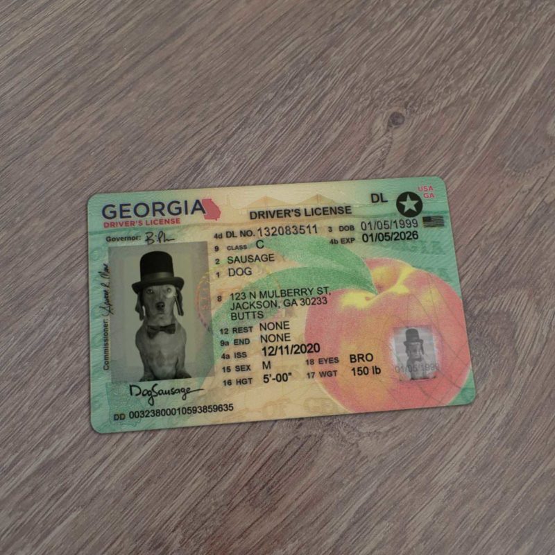 Georgia Driver Licence Template