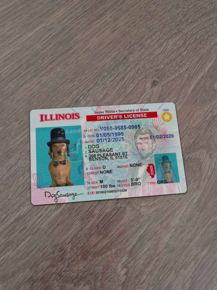 Illinois Driver License template