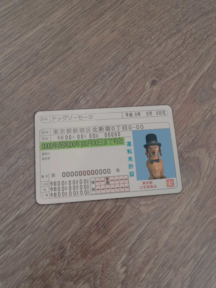 Japanese Driver License Template