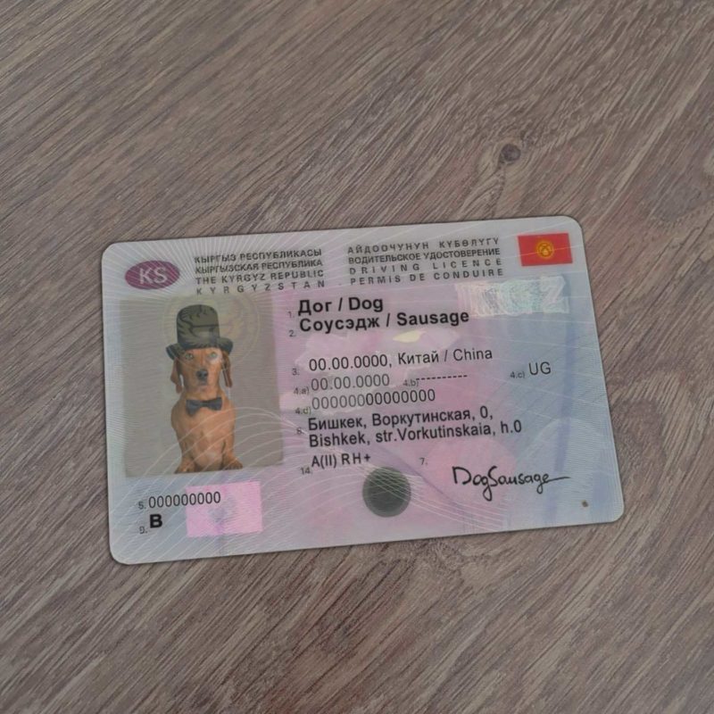 Kyrgyzstan Driver License Template