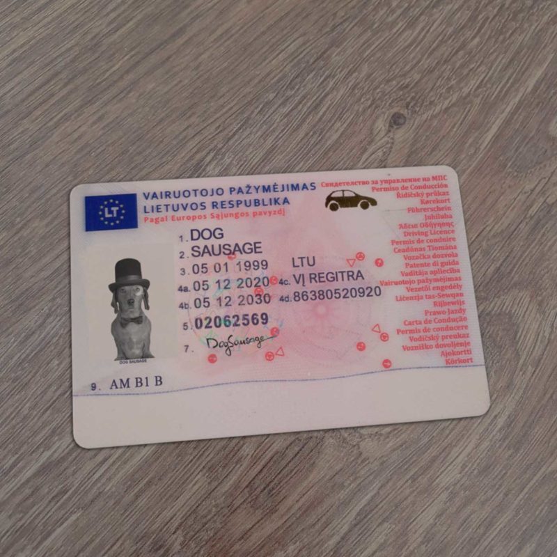 Lithuania Driver Licence Template