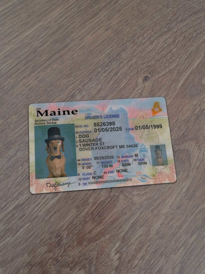 Maine Driver License template
