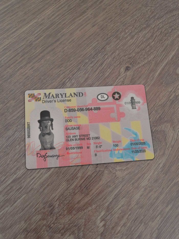 Maryland Driver License template