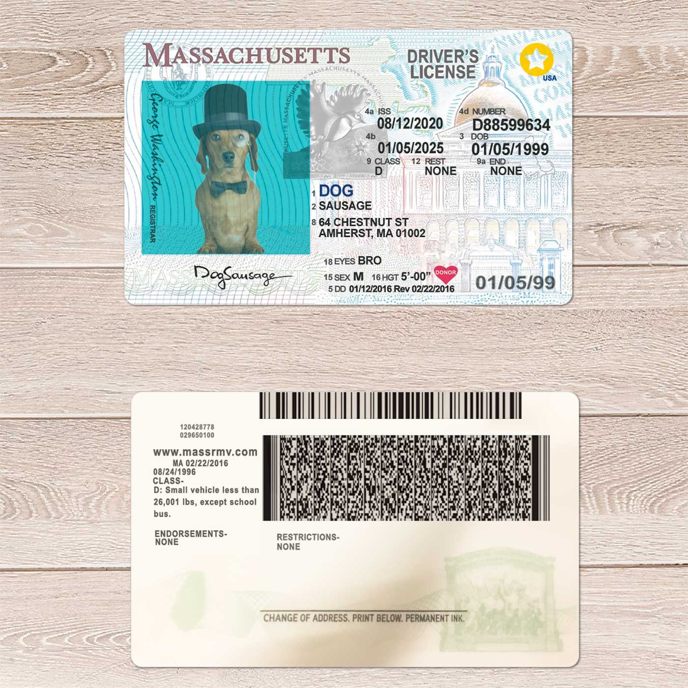 Massachusetts Driver License Template Driver License Template