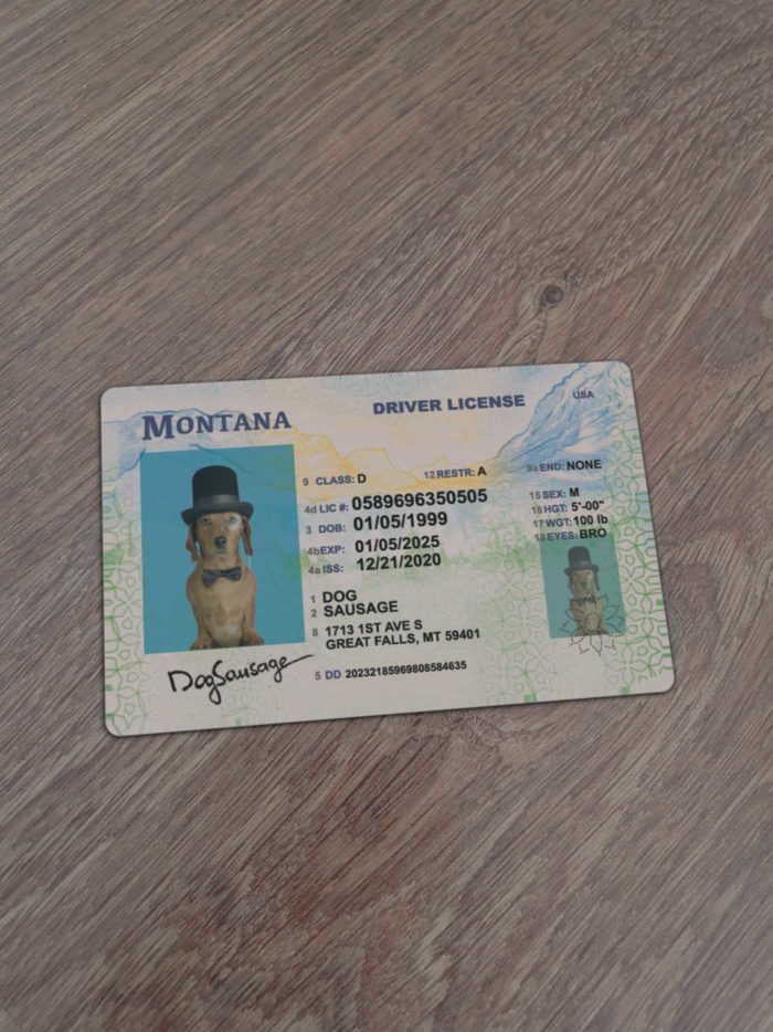 Montana Driver License