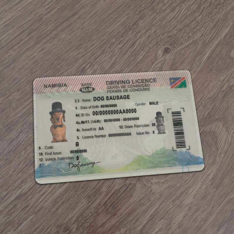 Namibia Driver License Template