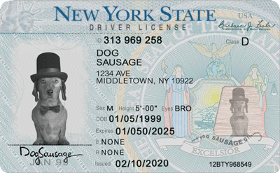 New york driver license template