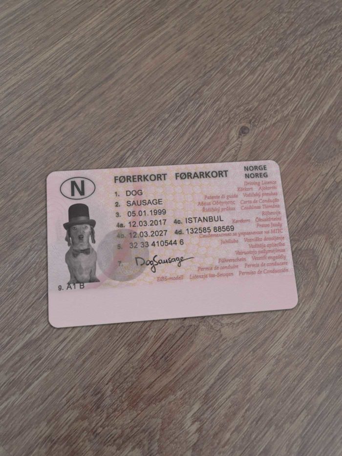 Norway Driver License Template