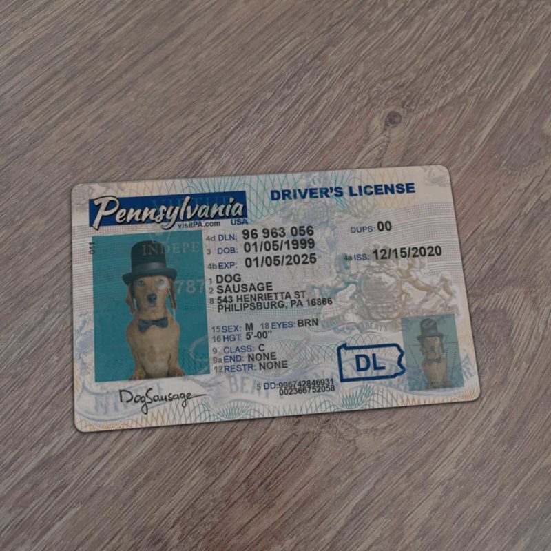 Pensylvania Driver License Template