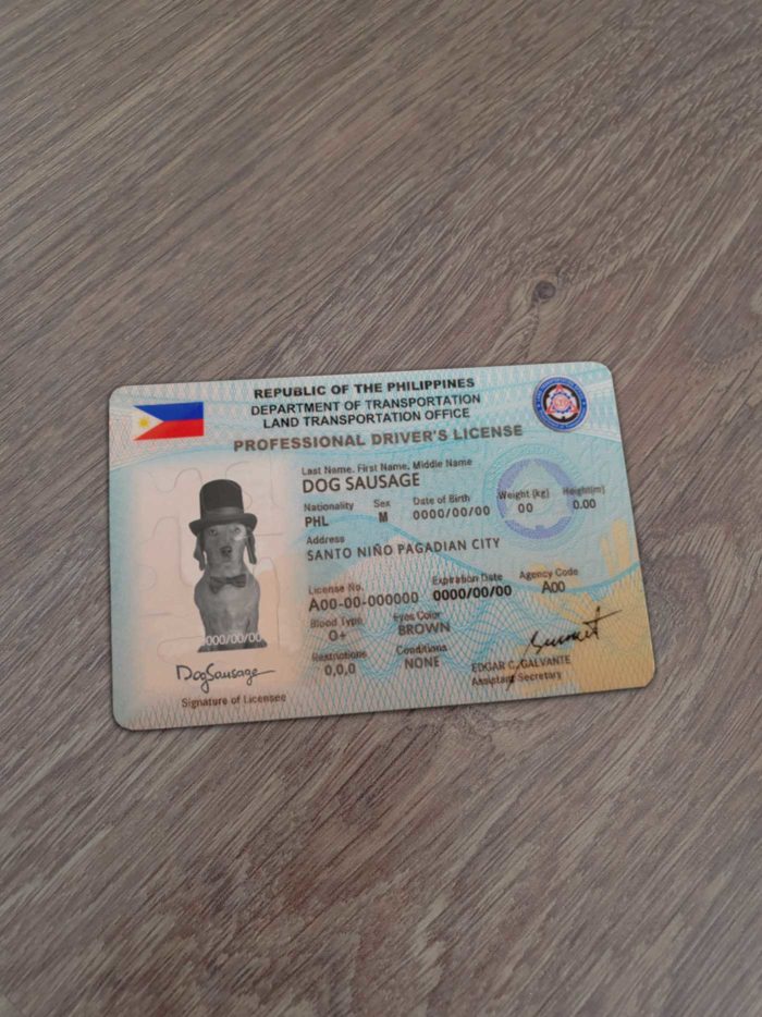 Philipines Driver License Template
