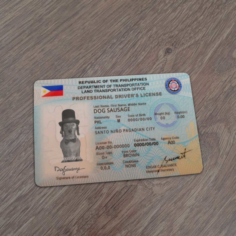 Philipines Driver License Template