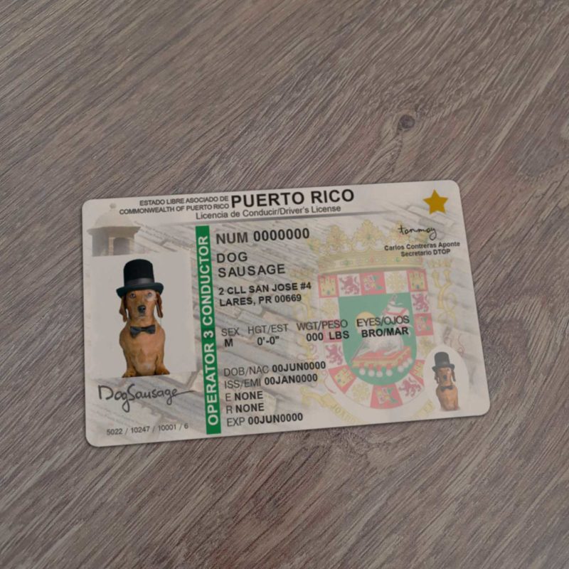 Puerto Rico Driver License Template