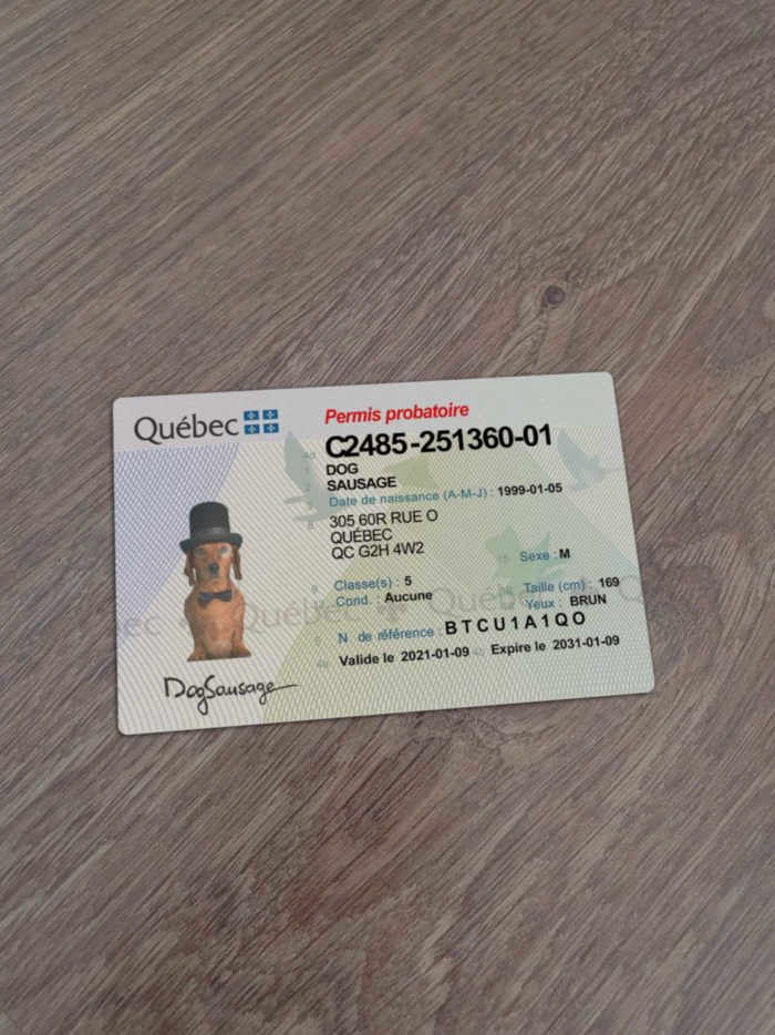 Canada Quebec Driver License Template