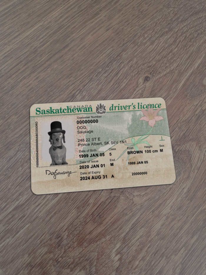 Canada Sakatchewan Driver License Template