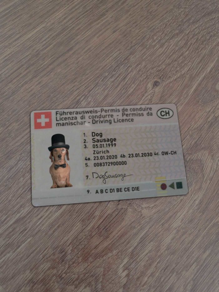 Switzerland Driver License Template