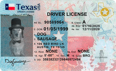 Texas Driver License template